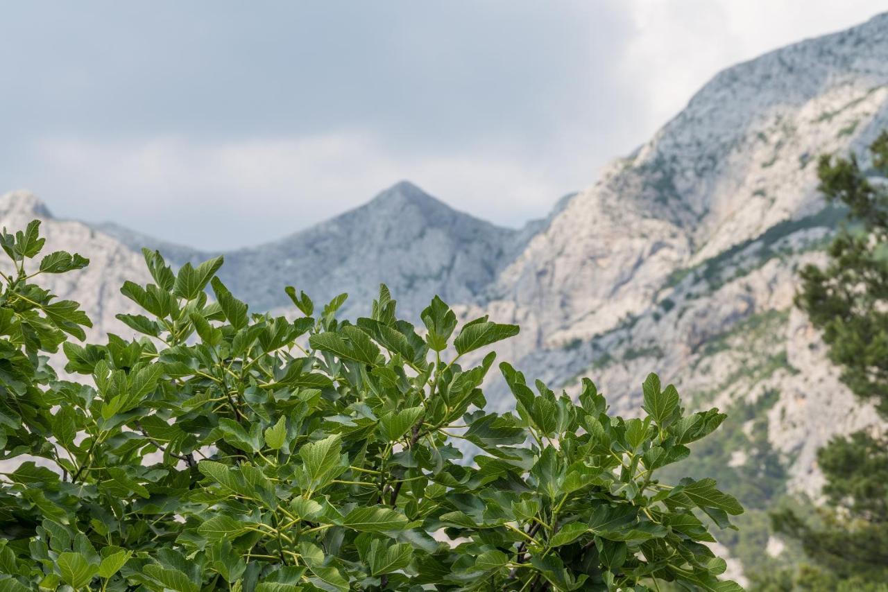 Apartment Strawberry Makarska Exterior photo